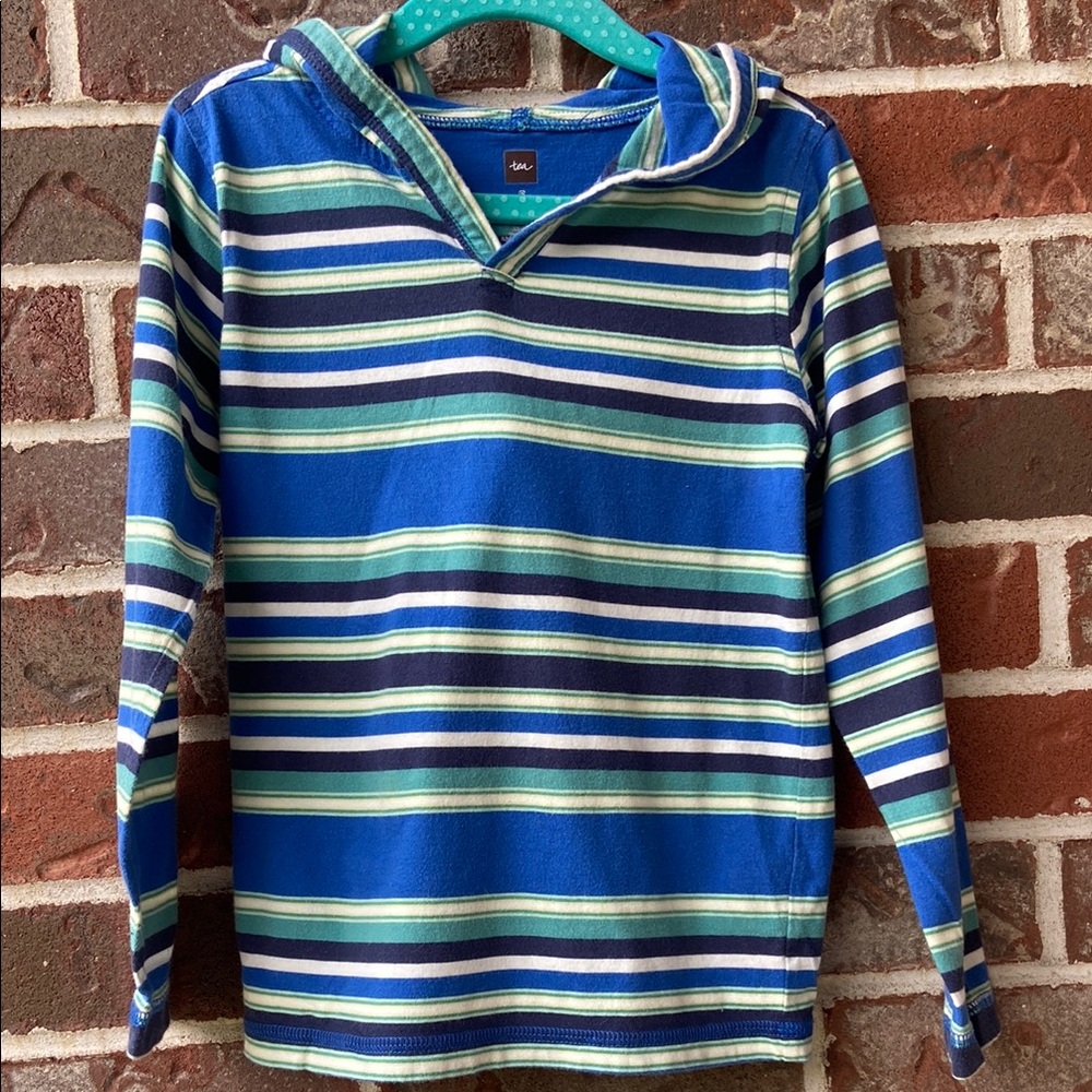 🚨B1G2F 🚨 Tea Collection Blue and Green Striped Long Sleeve Hooded Tee